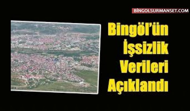 Bingöl'de İşsizlik Oranı 2025'te Yüzde 9,6 Oldu