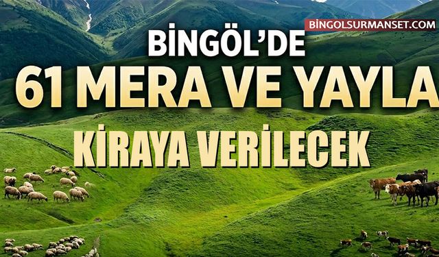 Bingöl'de 2026 Yılı İçin 61 Mera ve Yayla Kiraya Verilecek