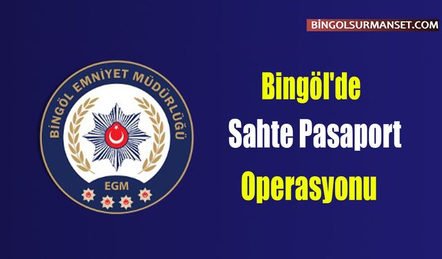 Bingöl'de Sahte Pasaport Operasyonu