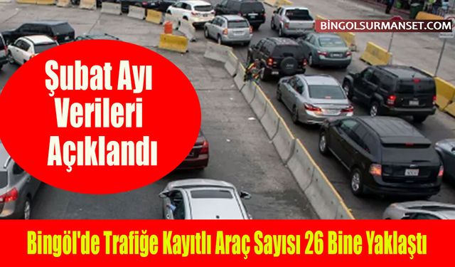 TÜİK Açıkladı: Bingöl'de Trafiğe Kayıtlı Araç Sayısı 26 Bine Yaklaştı