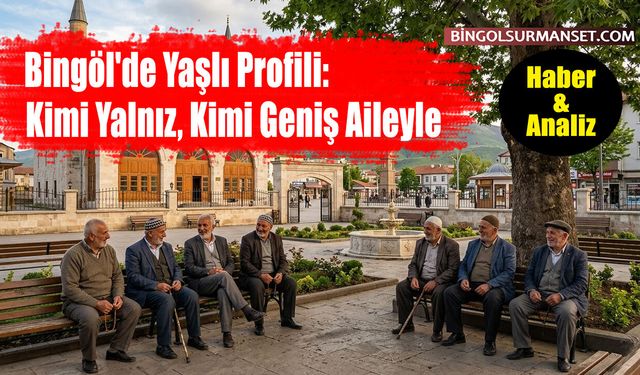 Bingöl'de Yaşlı Profili: Kimi Yalnız, Kimi Geniş Aileyle