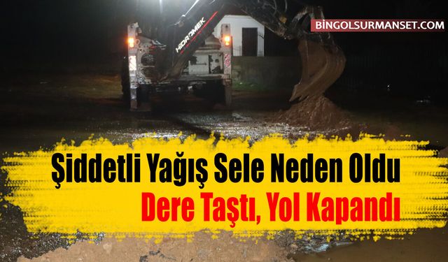 Şiddetli Yağış Sele Neden Oldu: Dere Taştı, Yol Kapandı