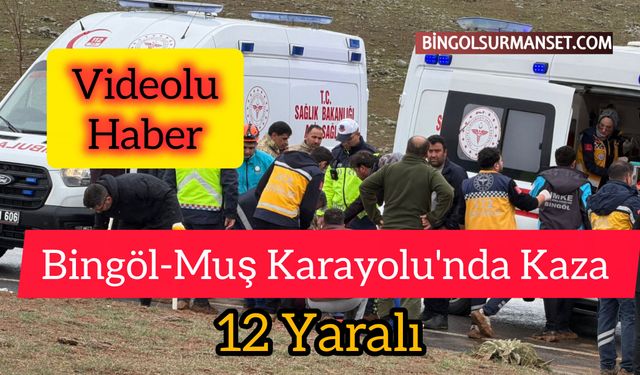 Bingöl-Muş Karayolu'nda Kaza: 12 Yaralı