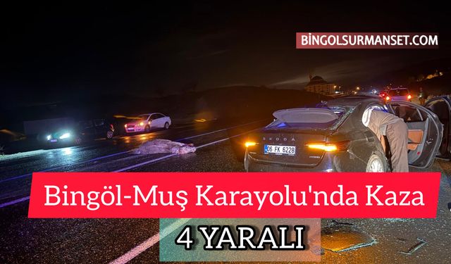 Bingöl-Muş Karayolu'nda Kaza: 4 Yaralı
