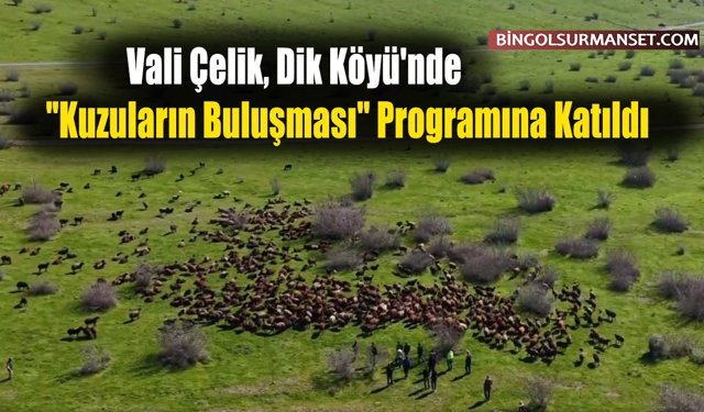 Vali Çelik, Dik Köyü'nde "Kuzuların Buluşması" Programına Katıldı