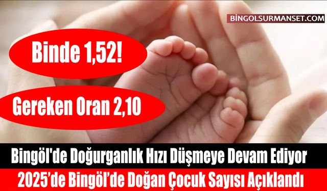 Bingöl'de Doğurganlık Hızı Düşmeye Devam Ediyor