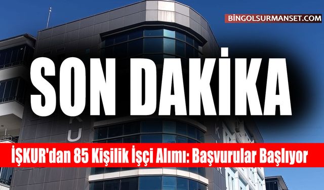 İŞKUR'dan 85 Kişilik İşçi Alımı: Başvurular Başlıyor