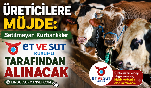 Üreticilere Müjde: Satılamayan Kurbanlıkları Et ve Süt Kurumu Alacak