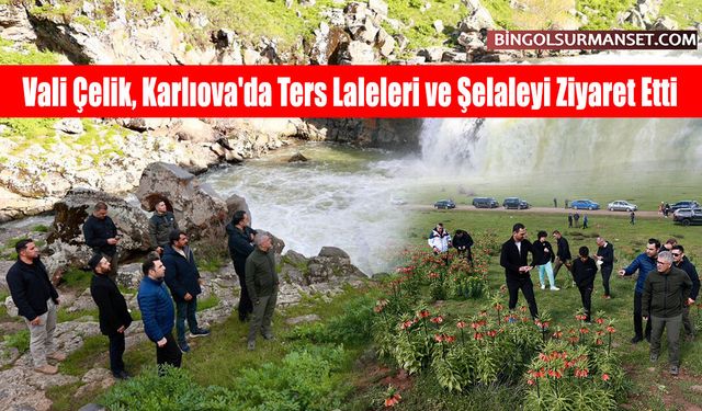 Vali Çelik, Karlıova'da Ters Laleleri ve Şelaleyi Ziyaret Etti