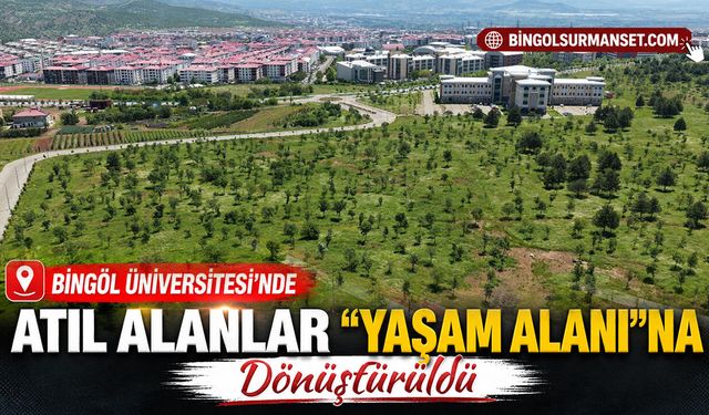 Bingöl Üniversitesi'nde Atıl Alanlar "Yaşam Alanı"na Dönüştürüldü