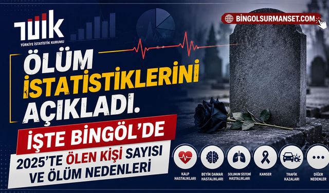 Bingöl'de 2025 Yılında Ölen Kişi Sayısı ve Ölüm Nedenleri Açıklandı