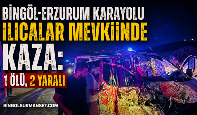 Bingöl Ilıcalar Mevkiinde Kaza: 1 Ölü, 2 Yaralı