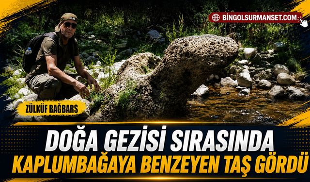 Doğa Gezisi Sırasında Kaplumbağaya Benzeyen Taş Gördü