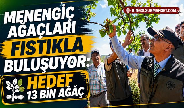 Menengiç Ağaçları Fıstıkla Buluşuyor: Hedef 13 Bin Ağaç