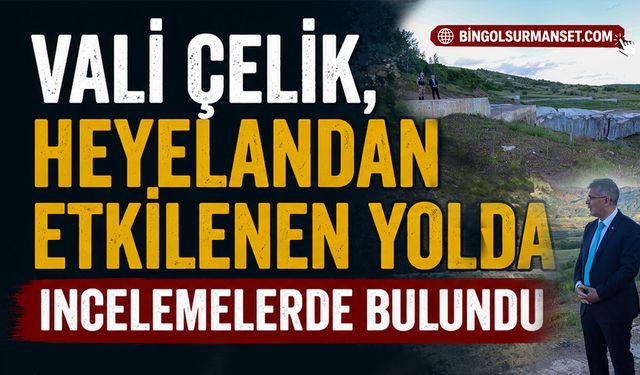 Vali Çelik, Heyelandan Etkilenen Yolda İncelemelerde Bulundu