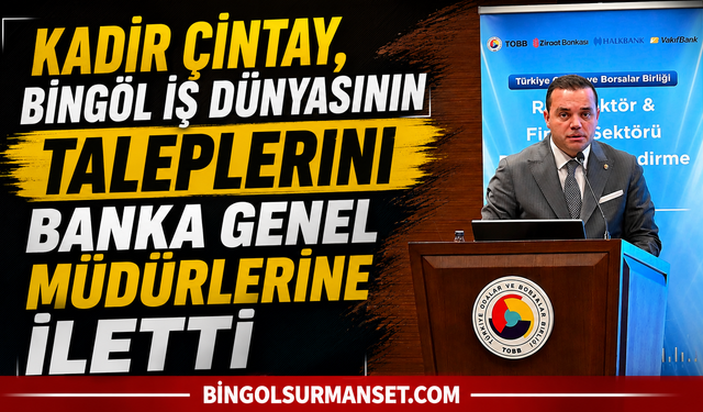 Kadir Çintay, Bingöl İş Dünyasının Taleplerini Banka Genel Müdürlerine İletti