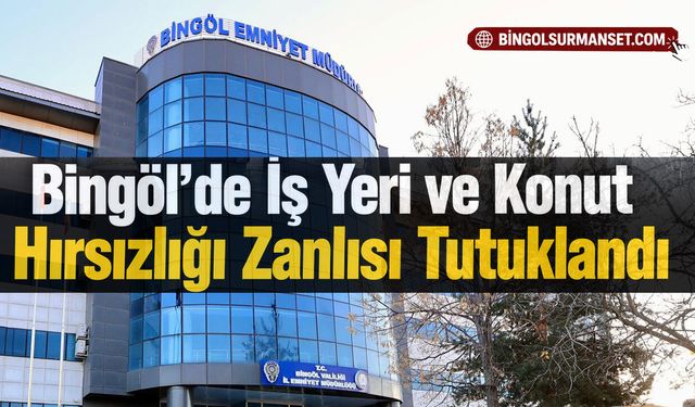 Bingöl’de İş Yeri ve Konut Hırsızlığı Zanlısı Tutuklandı