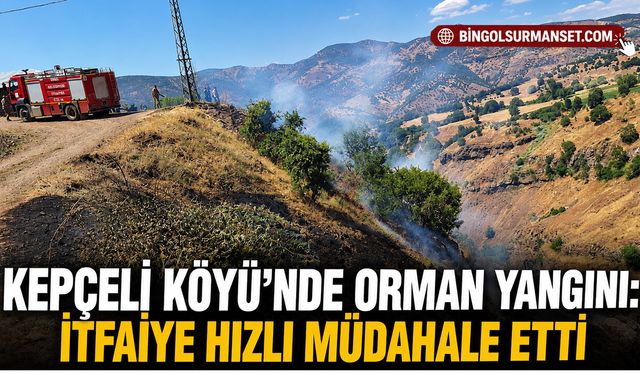 Kepçeli Köyü’nde Orman Yangını: İtfaiye Hızlı Müdahale Etti