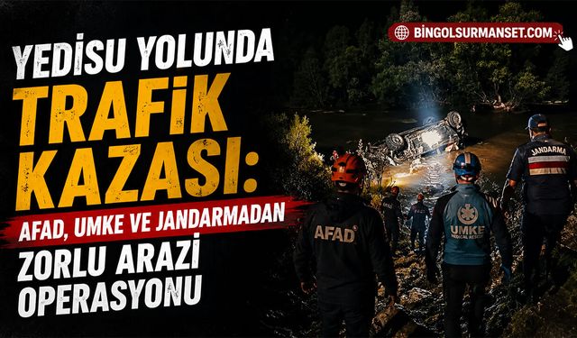 Yedisu Yolunda Trafik Kazası: 1 Kişi Hayatını Kaybetti