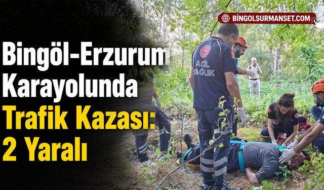 Bingöl-Erzurum Karayolunda Trafik Kazası: 2 Yaralı