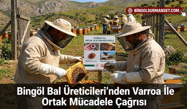 Bingöl Bal Üreticileri’nden Varroa İle Ortak Mücadele Çağrısı