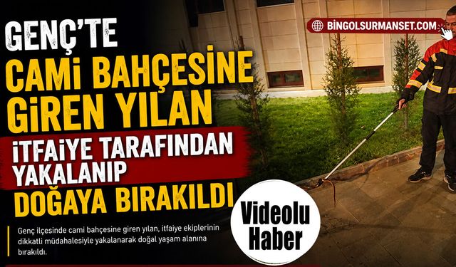 Cami Bahçesine Giren Yılan Yakalanıp Doğaya Bırakıldı