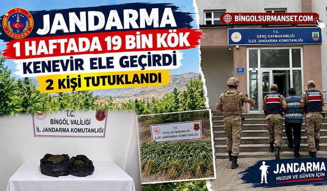 Jandarma 1 Haftada 19 Bin Kök Kenevir Ele Geçirdi, 2 Kişi Tutuklandı