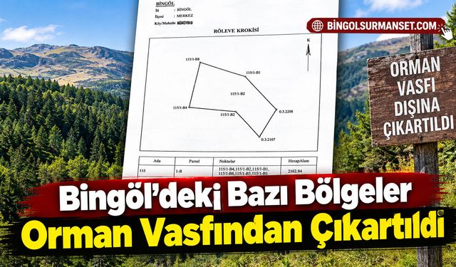 Bingöl’deki Bazı Bölgeler Orman Vasfından Çıkartıldı