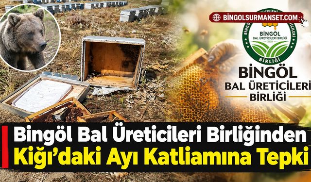 Bingöl Bal Üreticileri Birliğinden Kiğı'daki Ayı Katliamına Tepki