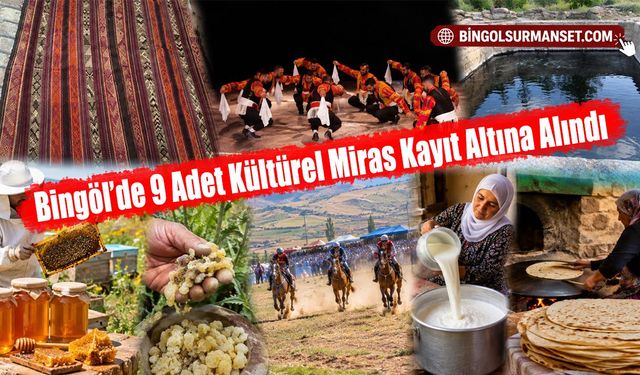 Bingöl’de 9 Adet Kültürel Miras Kayıt Altına Alındı