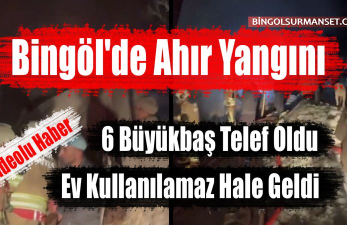 Bingöl'de Ahır Yangını: 6 Büyükbaş Telef Oldu, Ev Kullanılamaz Hale Geldi