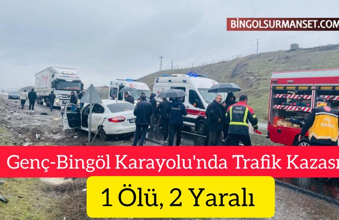 Genç-Bingöl Karayolu'nda Trafik Kazası: 1 Ölü, 2 Yaralı