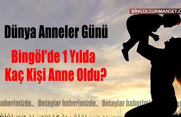 Dünya Anneler Günü: Bingöl'de 1 Yılda Kaç Kişi Anne Oldu?