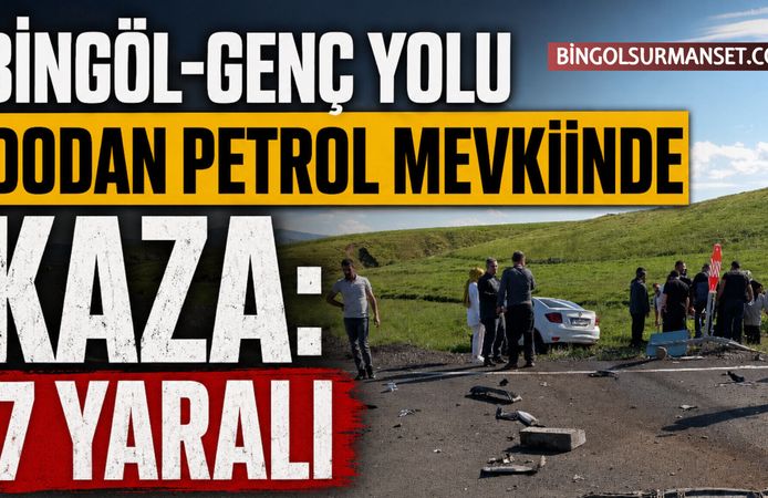 Bingöl-Genç Yolu Dodan Petrol Mevkiinde Kaza