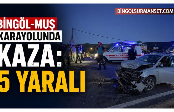 Bingöl-Muş Karayolunda Kaza: 5 Yaralı