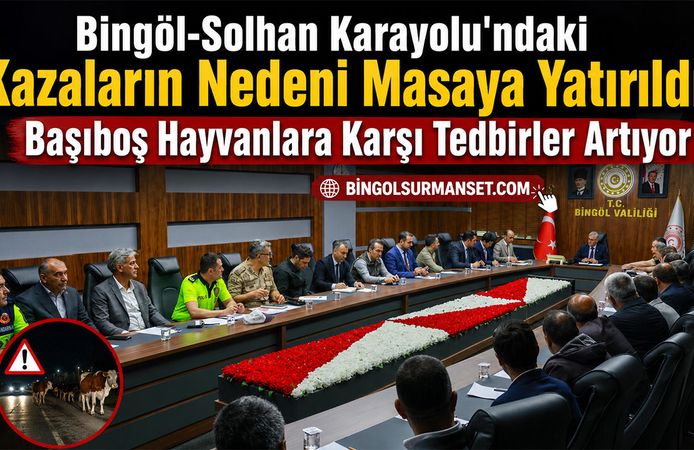 Bingöl-Solhan Karayolu'ndaki Kazaların Nedeni Masaya Yatırıldı