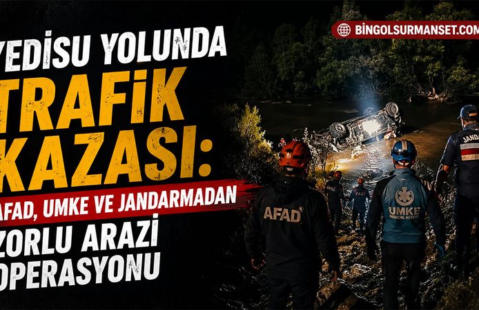 Yedisu Yolunda Trafik Kazası: 1 Kişi Hayatını Kaybetti