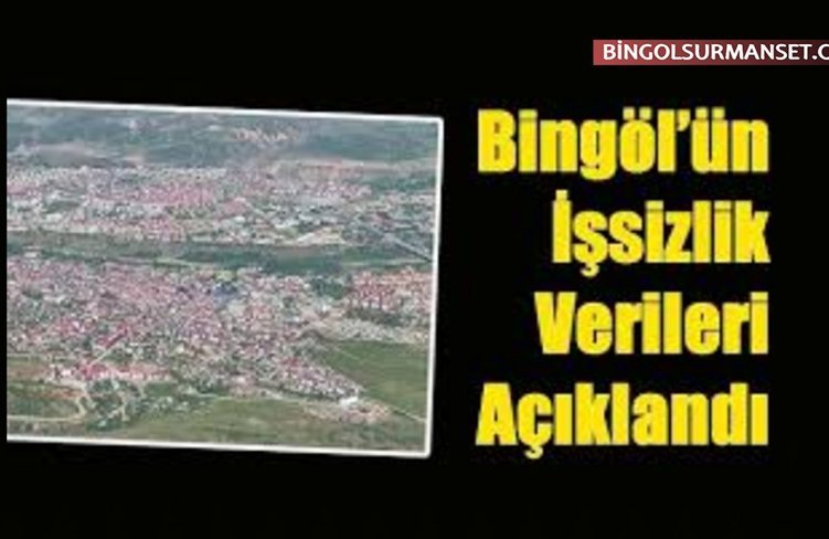 Bingöl'de İşsizlik Oranı 2025'te Yüzde 9,6 Oldu