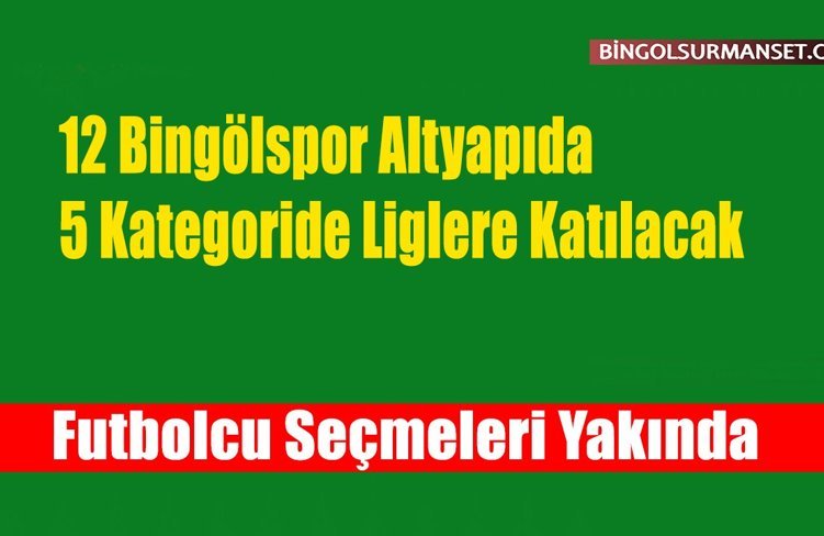 12 Bingölspor Altyapıda 5 Kategoride Liglere Katılacak