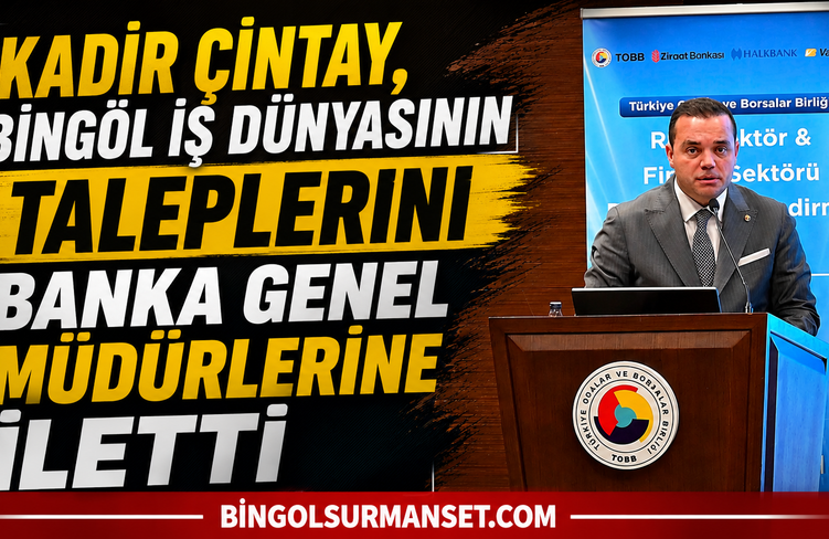 Kadir Çintay, Bingöl İş Dünyasının Taleplerini Banka Genel Müdürlerine İletti