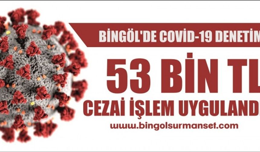 Bingöl'de Covid-19 Denetimi, 53 Bin TL Cezai İşlem Uygulandı