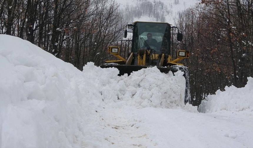 Bingöl’de Kar 65 Köy Yolunu Ulaşıma Kapattı