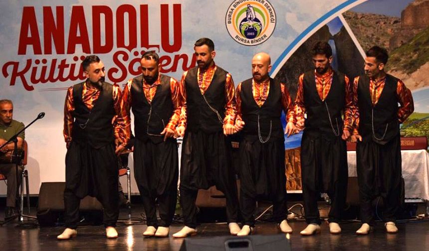 ‘Anadolu Kültür Şöleni Bingöl Gecesi’ Programı Düzenlendi
