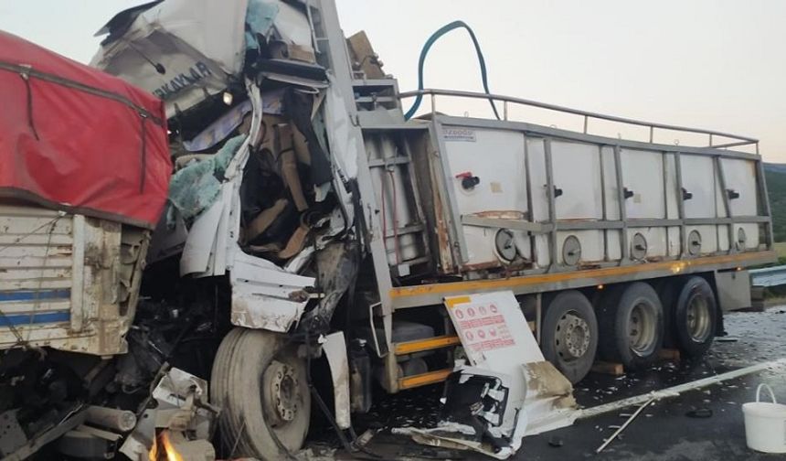 Bingöl'de Trafik Kazası: 1 Ölü