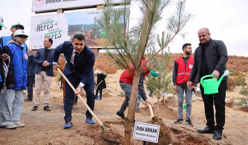 Bingöl’de binlerce fidan, toprak ile buluştu