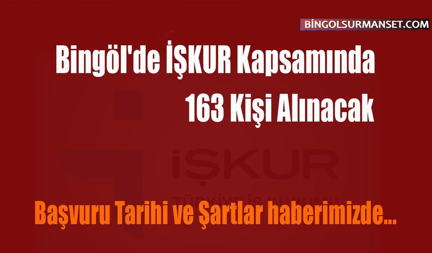 Bingöl'de İŞKUR Kapsamında 163 Kişi Alınacak