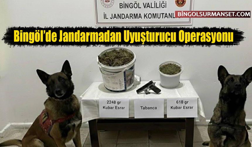 Bingöl’de Jandarmadan Uyuşturucu Operasyonu