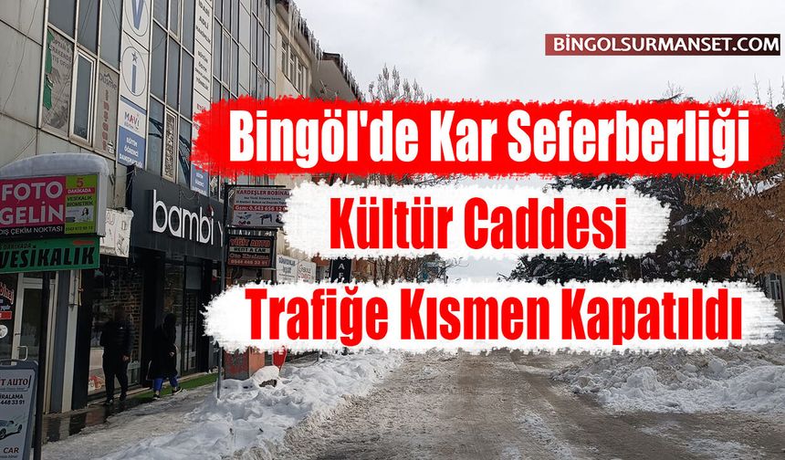 Bingöl'de Kar Seferberliği: Kültür Caddesi Trafiğe Kısmen Kapatıldı