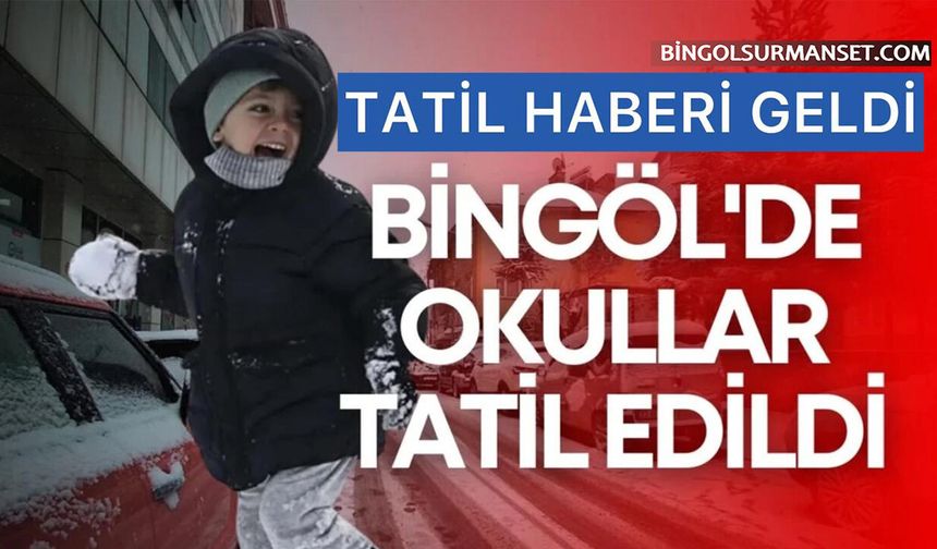 Bingöl'de Yoğun Kar: 5 İlçede Okullar Tatil
