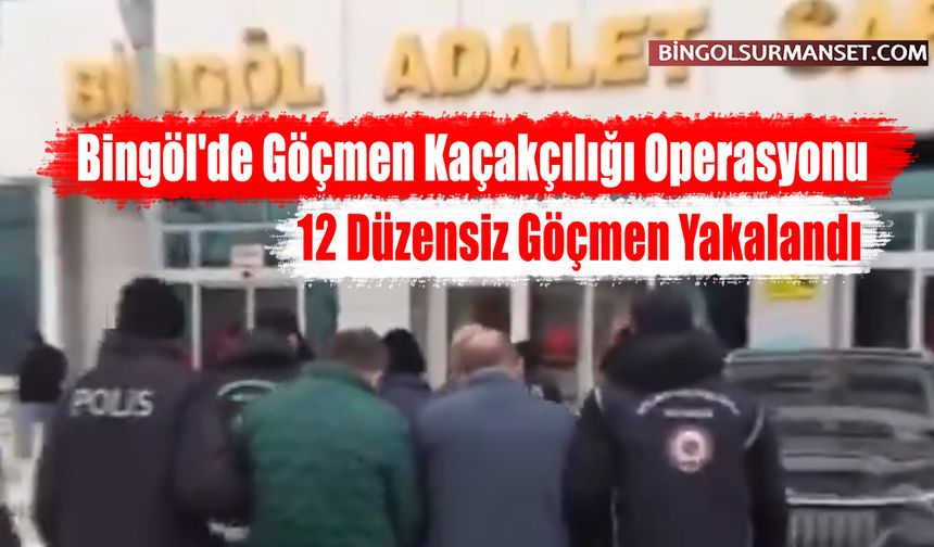 Bingöl'de Göçmen Kaçakçılığı Operasyonu